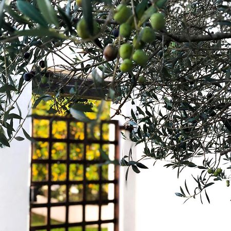 Mas Le Sauvageon Otel Saintes-Maries-de-la-Mer Dış mekan fotoğraf