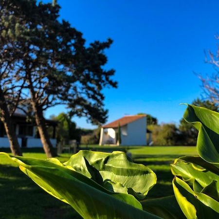 Mas Le Sauvageon Otel Saintes-Maries-de-la-Mer Dış mekan fotoğraf