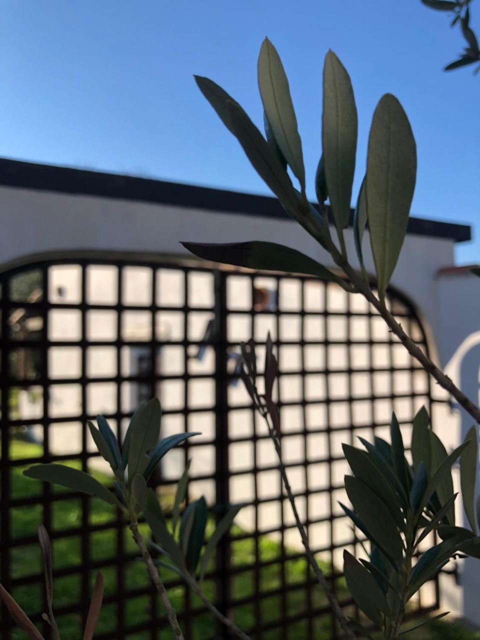 Mas Le Sauvageon Otel Saintes-Maries-de-la-Mer Dış mekan fotoğraf
